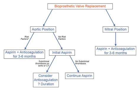 Anticoagulation Strategies After Bioprosthetic Valve Replacement: What ...