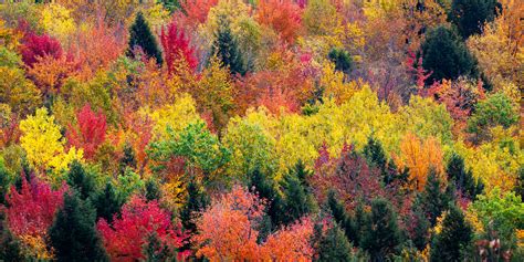 White Mountains New Hampshire Fall Color Fine Art Print | Photos by ...