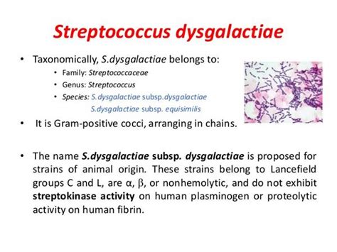 Streptococcus Dysgalactiae Subspp. Equisilimis & Streptococcus Zooepidemicus: Clinical Syndromes ...