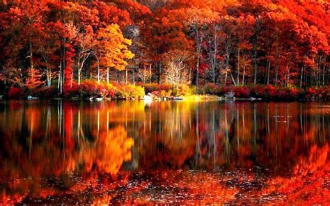 Fall Colors Desktop Wallpaper (57+ pictures) - WallpaperSet