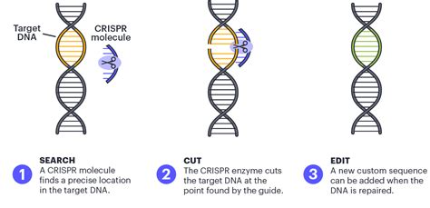 What is CRISPR? - Explained by Jennifer Doudna & IGI Experts