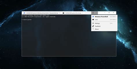 Download new windows terminal - haqproducts