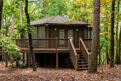 Amicalola Falls Cabin Rentals | Cabins and More | Airbnb