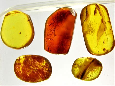 Old vintage Baltic Amber stones Natural genuine cognac / honey ...