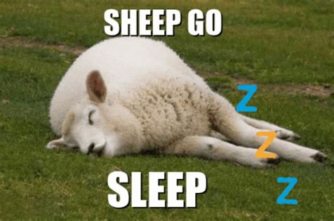 Sheep Go Brrr GIF - Sheep Go Brrr Sheep Go Sleep - Discover & Share GIFs