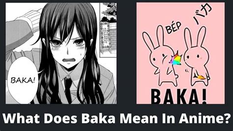 What Does Baka Mean In Anime? The origin of baka - MyAnimeFacts