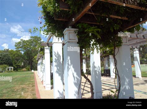 Senate Rose Gardens, Old Parliament House, Canberra, ACT, Australia ...