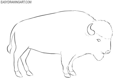 How to Draw a Buffalo - Easy Drawing Art