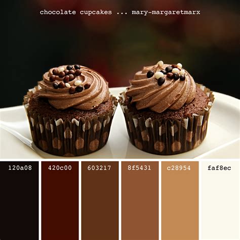 chocolate cupcakes ... mary-margaretmarx #color #colors #colour #colours #colorpalette # ...