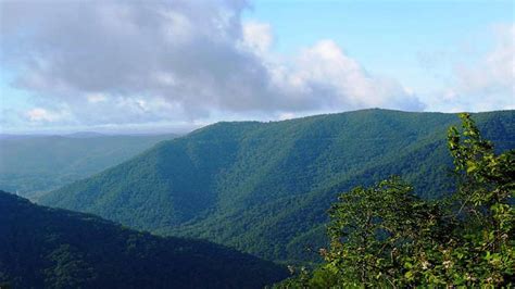 Biodiverse Regions: Black Mountain | PBS LearningMedia