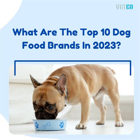 What Are The Top 10 Dog Food Brands In 2023? - Vetco Store