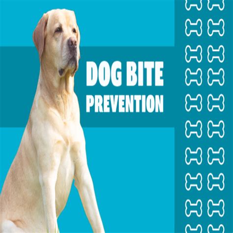 The Perfect Guide to Dog Bite Prevention - Petazon