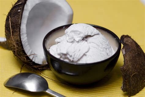 Free Ice Cream Recipes: How to Make Homemade Coconut Ice Cream