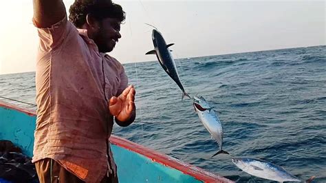 Awesome Traditional Fishing Video! Amazing Fish Hunting! Catching For Tuna Fish - YouTube