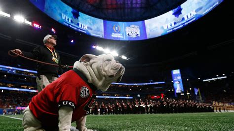 Retired Georgia Bulldogs mascot Uga X dies