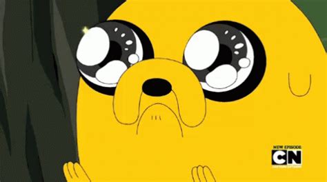 Amazed Jake GIF – Amazed Jake The Dog Adventure Time – GIFs entdecken und teilen