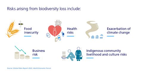 biodiversity risks - Population Growth - Human Rights, the Economy, and ...