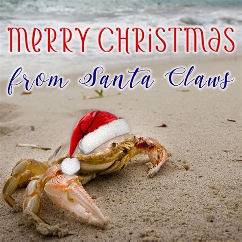 Merry Christmas! | Coastal christmas decor, Beachy christmas, Christmas thoughts