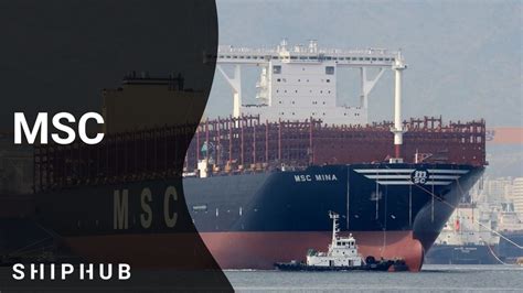 MSC - One of the biggest shipowner in the world | ShipHub