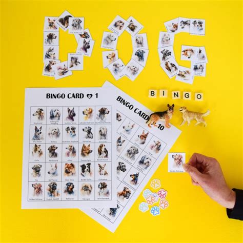 Printable Dog Bingo Game | Adventure in a Box