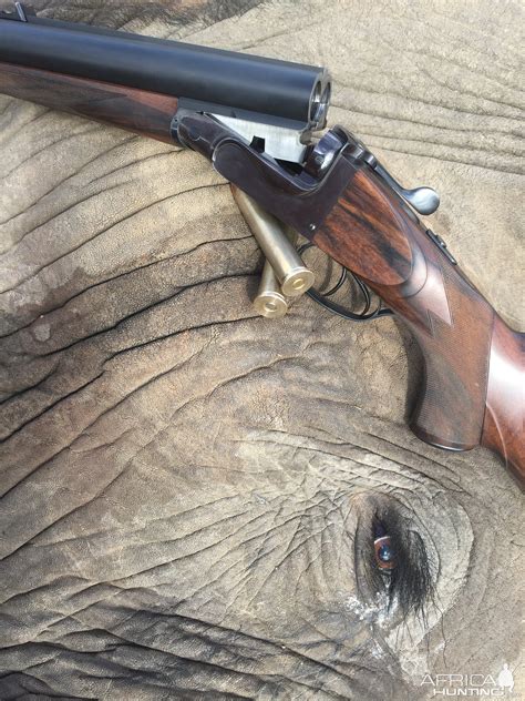 Hunting Elephant With Verney-Carron 700 Nitro Express Double Rifle ...