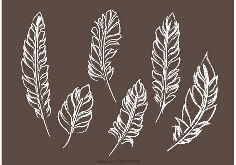 Free SVG Feather Outline Svg 1044+ File Include SVG PNG EPS DXF