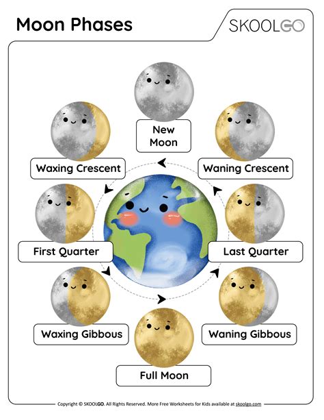 Moon Phases - Free Worksheet - SKOOLGO