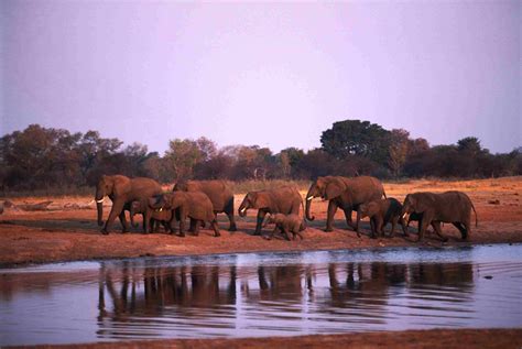 What to Do in Zimbabwe's Hwange National Park