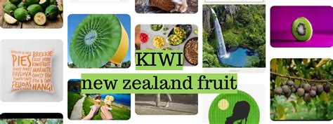 🥝 Kiwi New Zealand Fruit – Kiwifruit Confusion Travel Guru September 2020