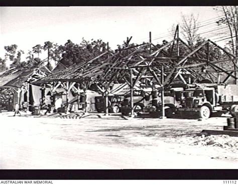 TARAKAN ISLAND, 10 JULY 1945. A SECTION OF THE TRANSPORT LINES OF 2/13 ...