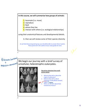 Ch 13 Arthropoda Anatomy - 1 Arthropoda ... rulers of the world en.wikipedia The aim of this ...