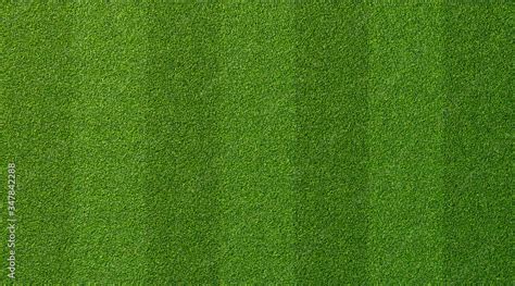 Green grass texture for sport background. Detailed pattern of green ...