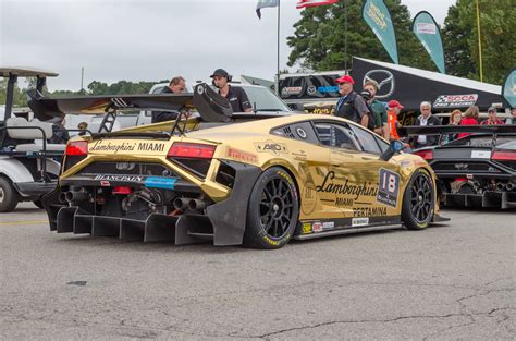 Lamborghini Miami's Gold Gallardo Super Trofeo [4928x3264] [OC] : r/carporn