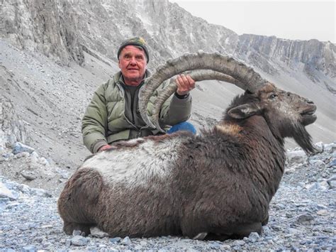 Himalayan Ibex Pakistan Hunt - Quality Hunts - Leader In Hunt Packages