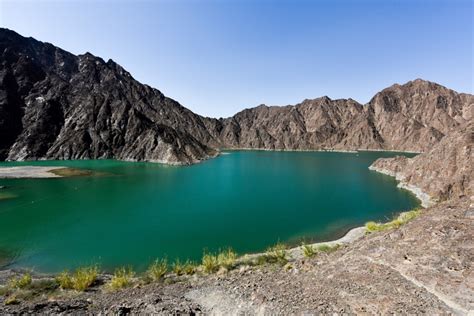 UAE nature: 50 best mountains, deserts and beaches to explore | Going-out – Gulf News