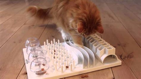 Using Food Puzzles With Your Cat at josejdavies blog