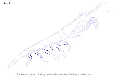 How to Draw a Antarctic Krill (Antarctic Animals) Step by Step | DrawingTutorials101.com