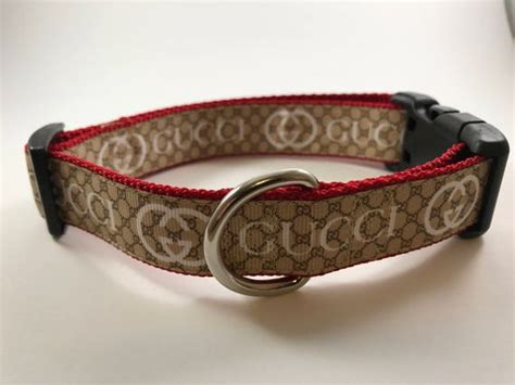 Gucci dog collars