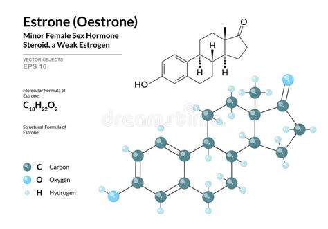 Estrone (oestrone) Human Estrogen Hormone Molecule. Atoms are ...