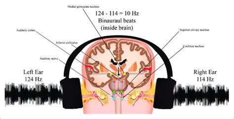 Binaural beats generated by the brain. | Download Scientific Diagram