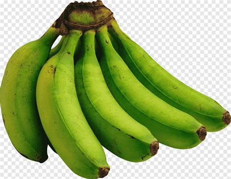 Bunch of unripe banana, Cooking banana Vegetarian cuisine Green Fruit, Green Bananas, natural ...