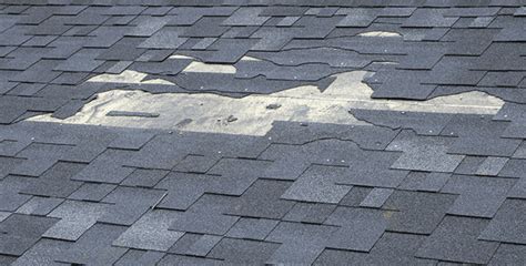 Composite Shingles vs. Asphalt Shingles: Settling the Debate | F Wave Roofing