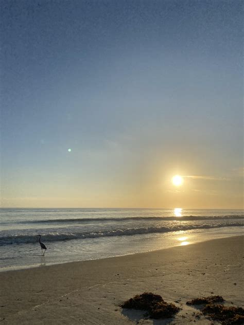 Sunrise at Playalinda Beach yesterday : r/Beachporn