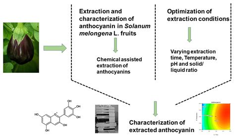 Utilizing response surface methodology to optimize the extraction and characterization of ...