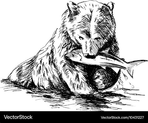 Hand sketch bear catching fish Royalty Free Vector Image