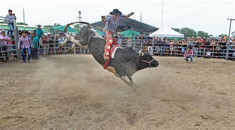 Conoce 10 datos sobre el jaripeo, actividad popular en la región | Revista DeFRENTE