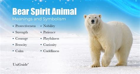 Bear Symbolism & Meaning & the Bear Spirit Animal | UniGuide