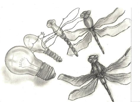 Dragonfly Metamorphosis by JennyJane811 on DeviantArt | Metamorphosis ...