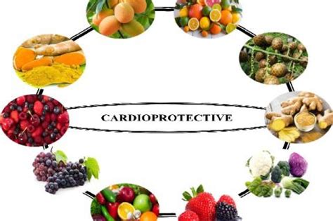 Anticancer drugs | Pharmacognosy Journal