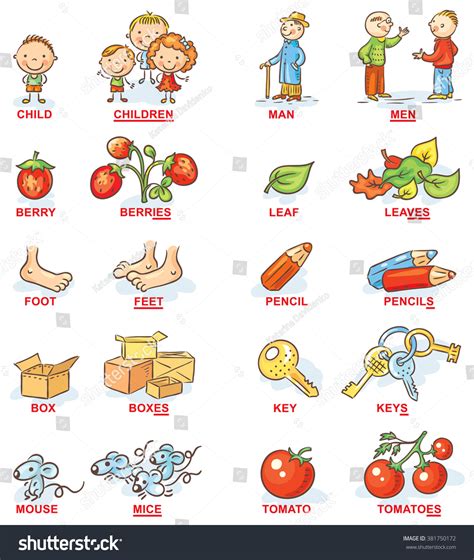 Plural of nouns in colorful cartoon pictures, - Royalty Free Stock Vector 381750172 - Avopix.com